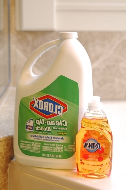 Alluring How To Clean A Whirlpool Tub How To Clean Whirlpool Tub Jets Simply Organized