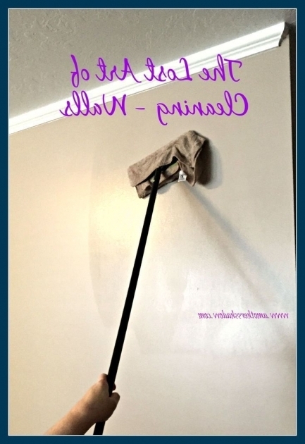 Awesome Best Way To Clean A Bathtub 25 Best Ideas About Cleaning Walls On Pinterest Clever Storage