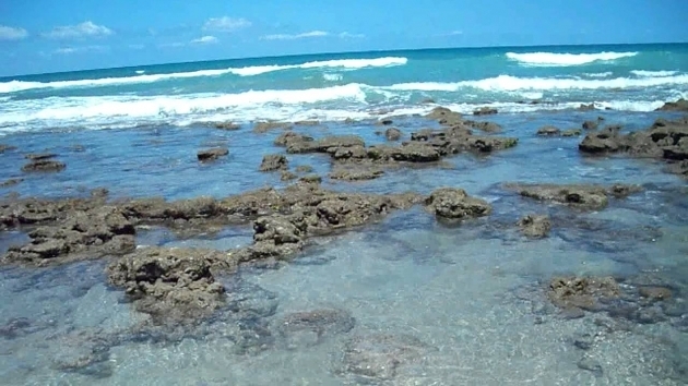 Image of Bathtub Beach Florida Bathtub Reef Beach Youtube