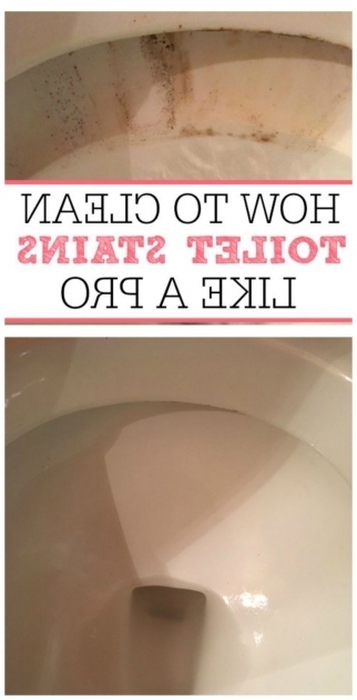 Image of How To Get Stains Out Of Bathtub 25 Best Ideas About Toilet Bowl Stains On Pinterest Clean