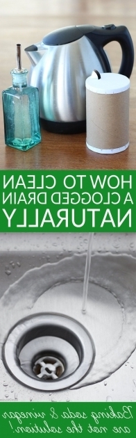 Image of How To Unclog A Bathtub Drain With Baking Soda Best 25 Clogged Drains Ideas On Pinterest Unclogging Drains