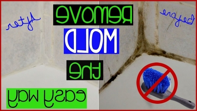 Outstanding Best Way To Clean A Bathtub Clean Showerbathroom Grout Without Scrubbing The Lazy Way To