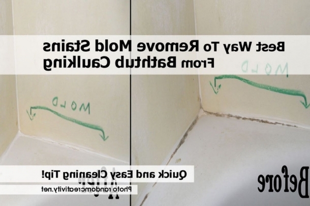 Picture of Best Way To Clean A Bathtub Best Way To Remove Mold Stains From Bathtub Caulking