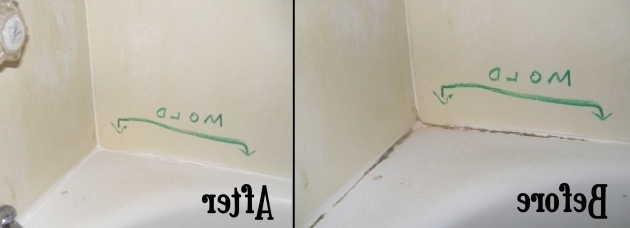 Remarkable How To Clean The Bathtub Clean Mold From Bathtub Caulk Random Creativity