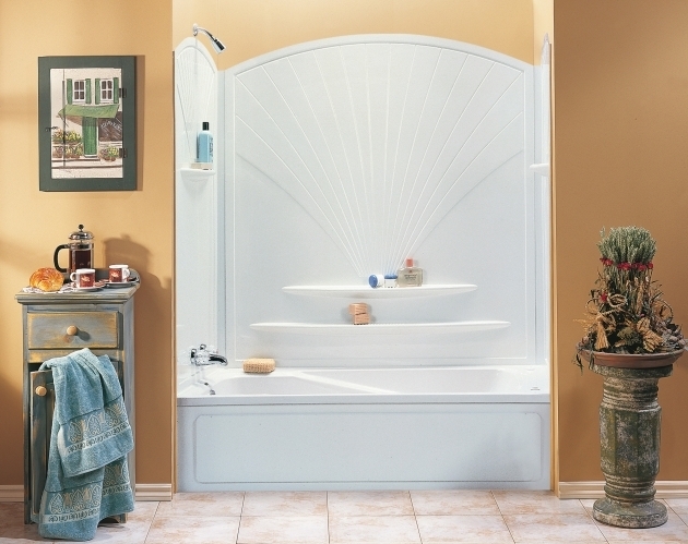 Stylish Bathtub And Shower Inserts Surplus Warehouse