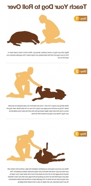 Amazing Dogs In A Bathtub Position 488 Best Dog Stuff Images On Pinterest