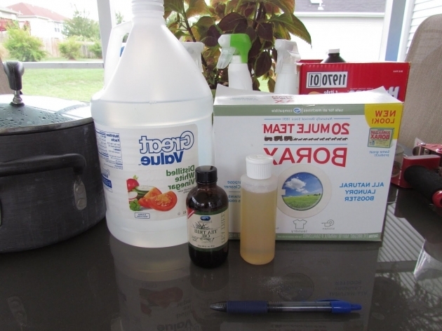 Fascinating Drano Bathtub All Natural Diy Drano Safe And Effective Toilet Declogger