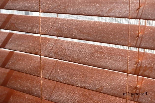 Gorgeous How To Clean Blinds In Bathtub Pressing On How To Easily Clean Wood And Faux Wood Blinds