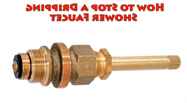 Incredible How To Change A Bathtub Faucet How To Stop A Dripping Shower Faucet Repair Leaky Bathtub Water