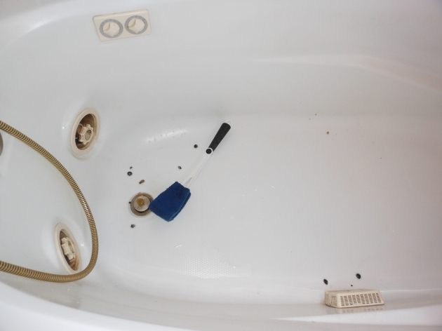 Stunning A Fish In The Bathtub Chlorine Mother Goose Smiles