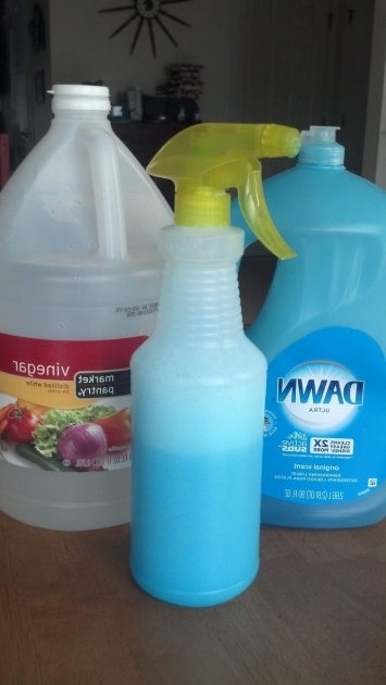 Stylish Homemade Bathtub Cleaner Top 25 Best Homemade Shower Cleaner Ideas On Pinterest Shower