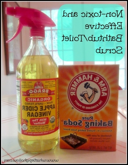 Wonderful Homemade Bathtub Cleaner Homemade Cleaners That Work Whistle Pig Hollow